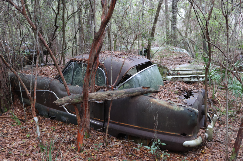 This Nash Mertropolitan rotted gracefully among the giants of the 50"s and 60's that surrounded it.